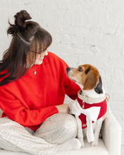 Load image into Gallery viewer, TDP X LOLA LOU | GINGERBREAD