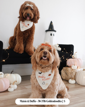 Load image into Gallery viewer, BANDANA | SPOOKY SEASON