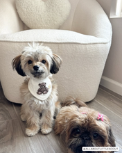 Load image into Gallery viewer, BANDANA | TEDDY