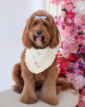 Load image into Gallery viewer, BANDANA | HONEYBELL