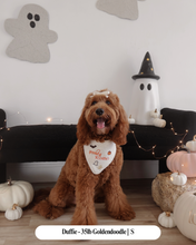 Load image into Gallery viewer, BANDANA | SPOOKY SEASON