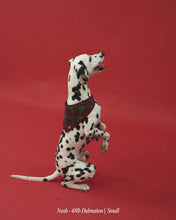 Load image into Gallery viewer, BANDANA | ST. NICK