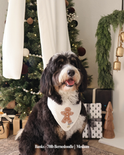 Load image into Gallery viewer, BANDANA | GMAS GINGERBREAD