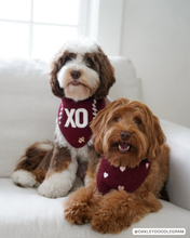 Load image into Gallery viewer, BANDANA | LOVE YOU LIKE XO