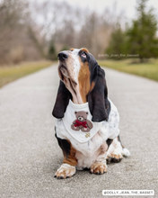 Load image into Gallery viewer, BANDANA | TEDDY