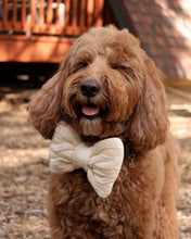 Load image into Gallery viewer, BOWTIE | THE HOUSE CABLE