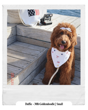 Load image into Gallery viewer, BANDANA | VINEYARD BELLE