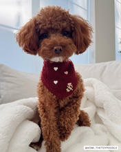 Load image into Gallery viewer, BANDANA | CHÉRIE