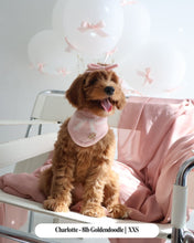 Load image into Gallery viewer, BANDANA | FOREVER TIED - BLUSH