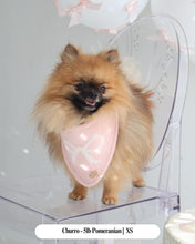 Load image into Gallery viewer, BANDANA | FOREVER TIED - BLUSH