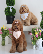 Load image into Gallery viewer, BANDANA | MARLOWE
