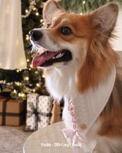 Load image into Gallery viewer, BANDANA | CLARA BOW