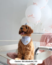 Load image into Gallery viewer, BANDANA | FOREVER TIED - SKY