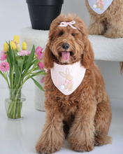 Load image into Gallery viewer, BANDANA | MARLOWE