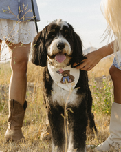 Load image into Gallery viewer, BANDANA | HEARTLAND TEDDY