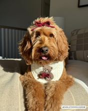 Load image into Gallery viewer, BANDANA | TEDDY