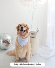 Load image into Gallery viewer, BANDANA | FOREVER TIED - SKY