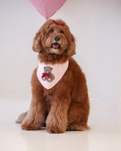 Load image into Gallery viewer, Brown dog wearing a pink bandana with a teddy bear design on a white background