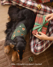 Load image into Gallery viewer, BANDANA | HOME FOR THE HOLIDAYS