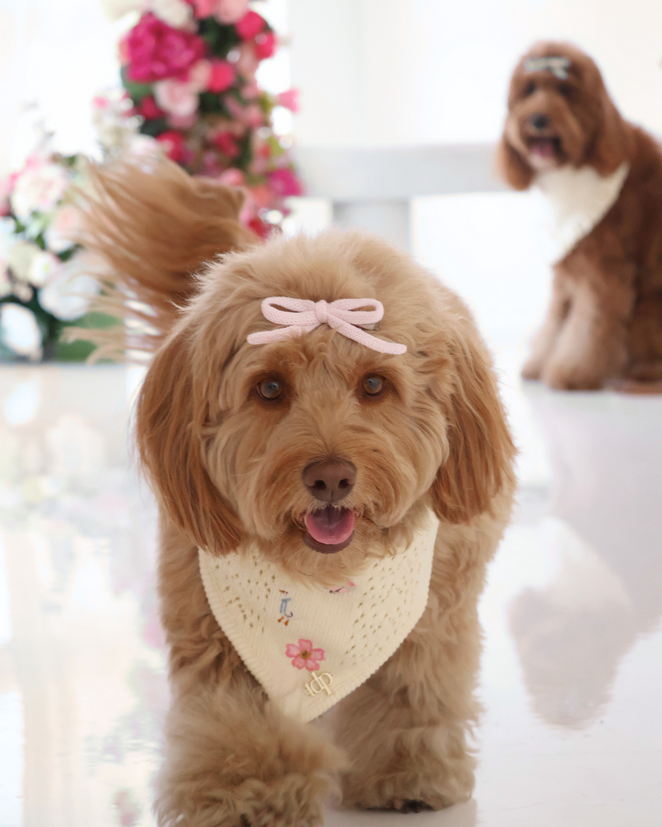 KENZIE BOW | SPRING – The Deluxe Pup
