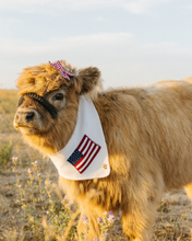 Load image into Gallery viewer, KENZIE BOW | FABRIQUE HEARTLAND