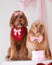 Load image into Gallery viewer, Two dogs wearing festive accessories with a small cake on a white surface.