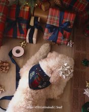 Load image into Gallery viewer, BANDANA | MONTY THE MOOSE