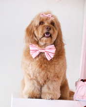 Load image into Gallery viewer, Dog wearing a pink bow tie sitting on a white surface with a light pink curtain in the background.
