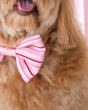 Load image into Gallery viewer, Close-up of a dog wearing a pink bow tie with red stripes on a light background