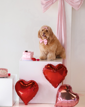Load image into Gallery viewer, Dog wearing a pink bow tie with heart-shaped balloons and a small cake on a white surface.