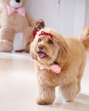 Load image into Gallery viewer, Dog wearing a pink bow tie with a teddy bear in the background