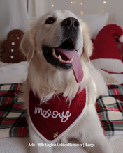 Load image into Gallery viewer, BANDANA | MERRY