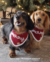 Load image into Gallery viewer, BANDANA | MERRY