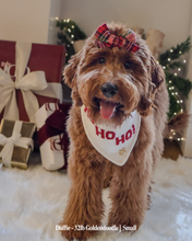 Load image into Gallery viewer, BANDANA | HO HO HO