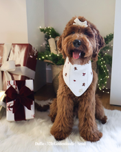 Load image into Gallery viewer, BANDANA | SUGAR AND SPICE