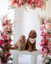 Load image into Gallery viewer, BANDANA | DAHLIA