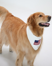 Load image into Gallery viewer, BANDANA | BETSY ROSS