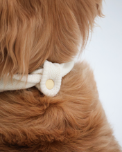 Load image into Gallery viewer, BANDANA | HEARTLAND TEDDY