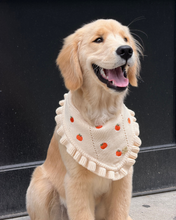 Load image into Gallery viewer, BANDANA | PUMPKIN HOLLOW