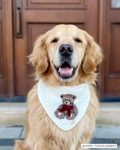 Load image into Gallery viewer, BANDANA | TEDDY