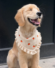 Load image into Gallery viewer, BANDANA | PUMPKIN HOLLOW
