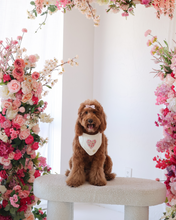 Load image into Gallery viewer, BANDANA | DAHLIA