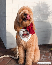 Load image into Gallery viewer, BANDANA | TEDDY