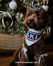 Load image into Gallery viewer, BANDANA | APRÉS SKI