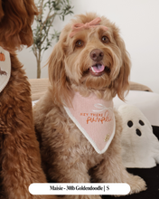 Load image into Gallery viewer, BANDANA | HEY THERE, PUMPKIN