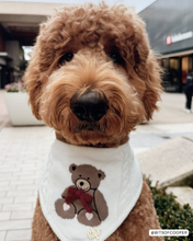 Load image into Gallery viewer, BANDANA | TEDDY