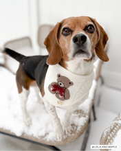 Load image into Gallery viewer, BANDANA | TEDDY