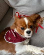 Load image into Gallery viewer, BANDANA | LOVE NOTES