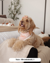 Load image into Gallery viewer, BANDANA | HEY THERE, PUMPKIN