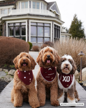 Load image into Gallery viewer, BANDANA | LOVE NOTES